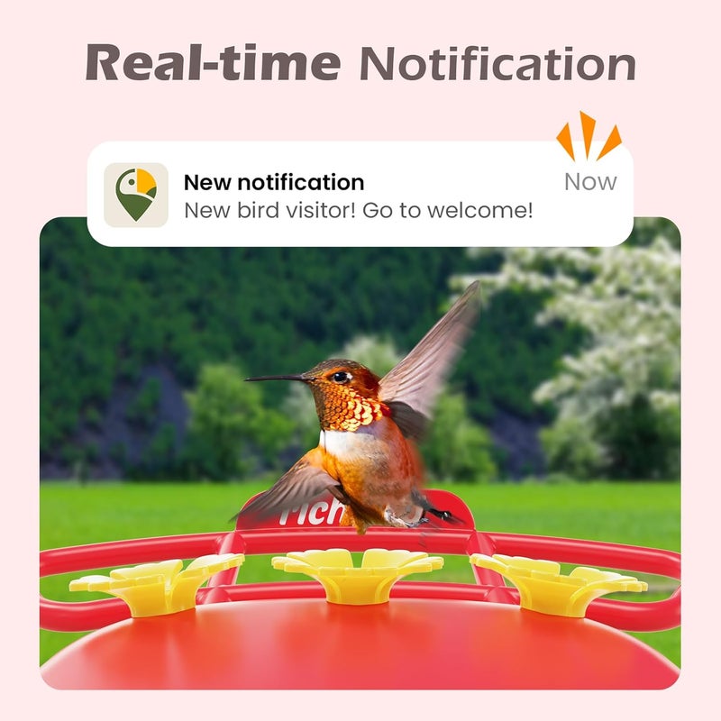RichBird Smart Hummingbird Feeder with Camera Solar Powered, AI Identify, Instant Notification, Leakproof & Ant Moat Bird Feeder with Camera, Hummingbird Feeders for Outdoors, Gift for Bird Lovers (20 oz) - Image 3